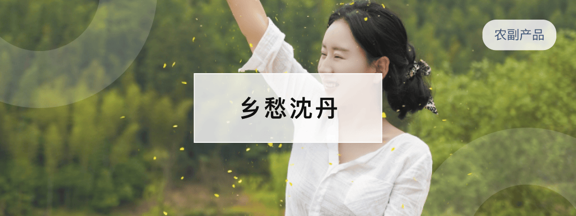 乡愁沈丹